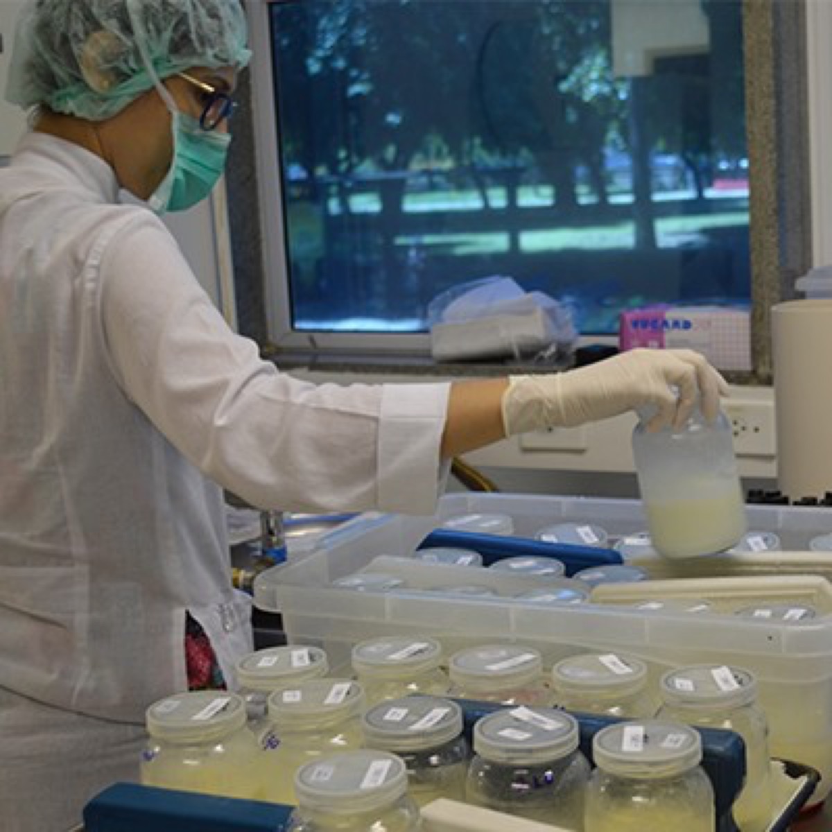A technician processes donated human milk in Brazil.