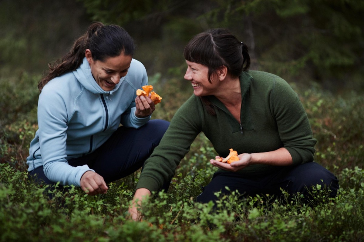 People gather mushrooms in a Swedish forest under the Right of Public Access.